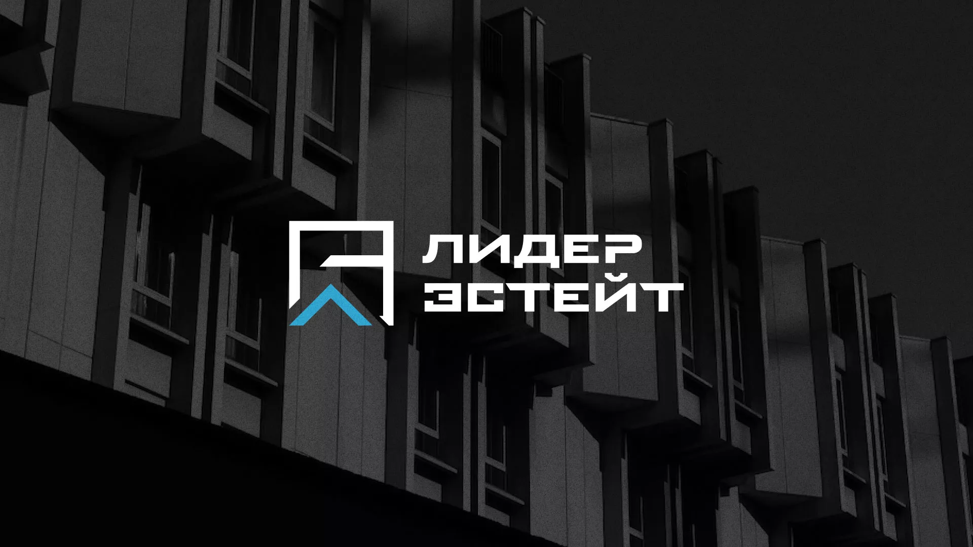 Разработка логотипа агентства недвижимости «Лидер Эстейт» в Ленинске-Кузнецком